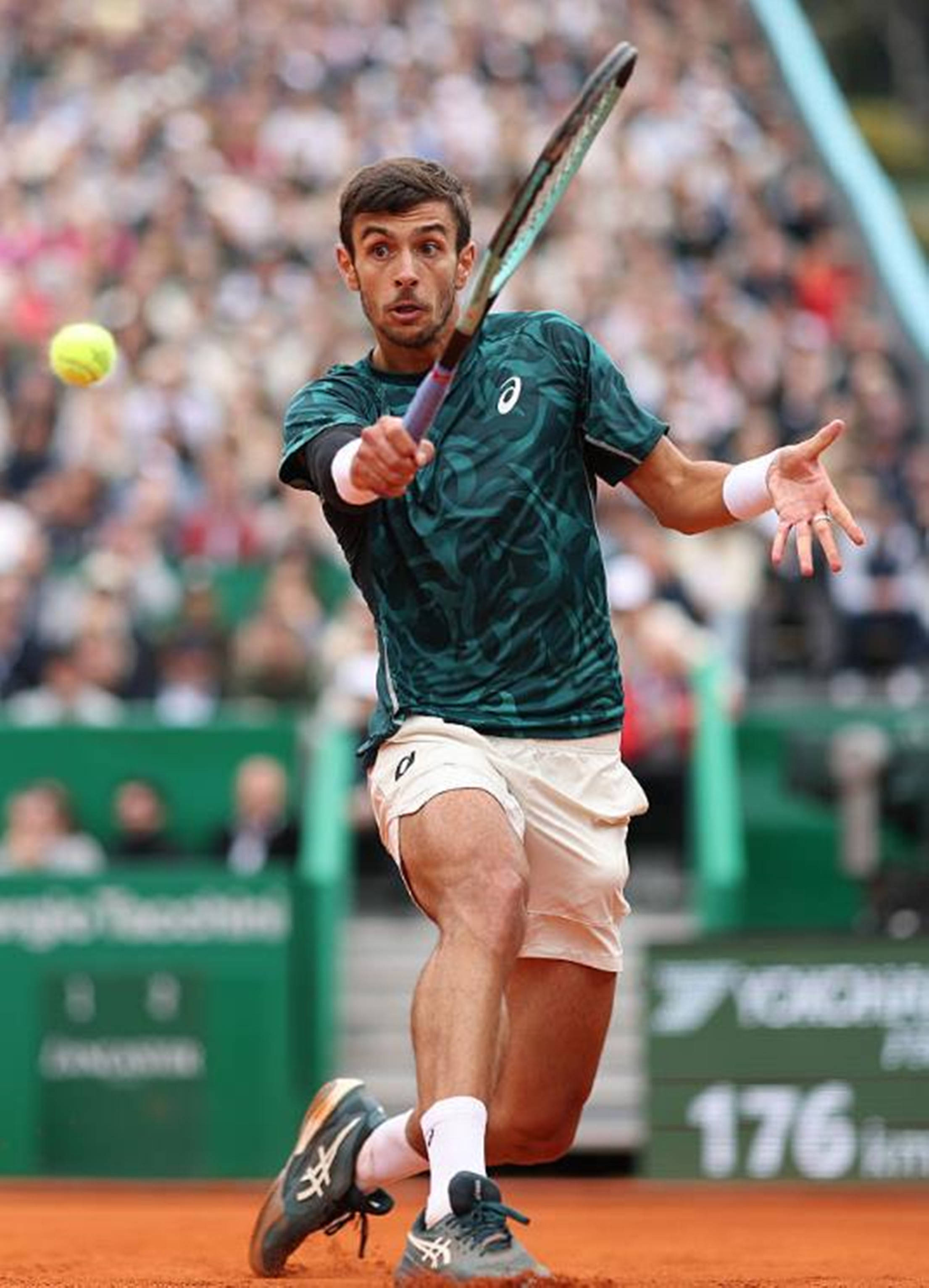 重现辉煌的 重现辉煌的